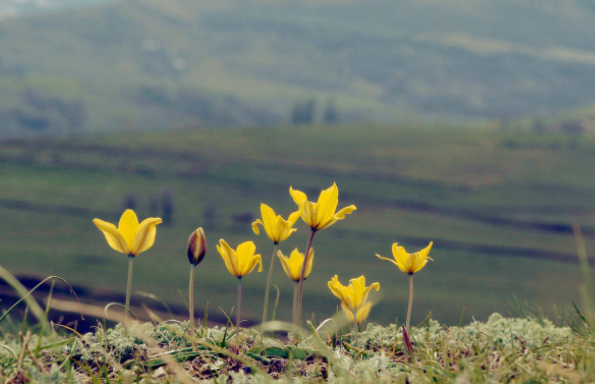 没有围墙的实验室便是一种心连心幸福教