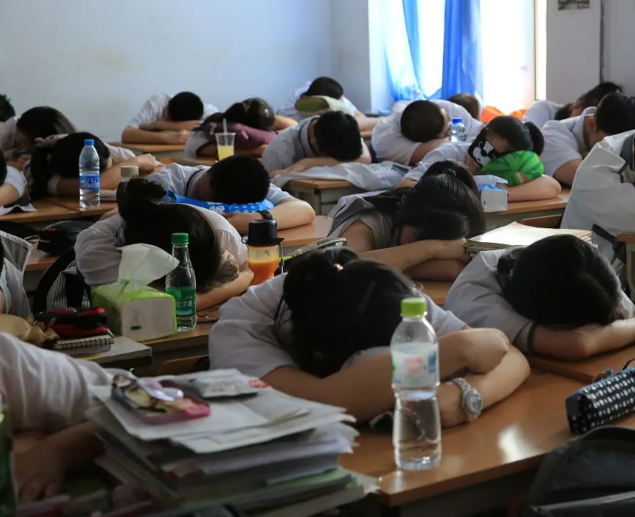 学子的身影正以理想为帆以知识为桨汇入