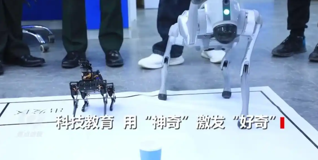 从小筑牢科技素质根基发展战略学会人工智能与机器人教育