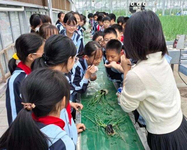 联成构建家校社企医教联体为孩子健康快