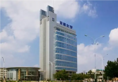 如何扭亏亚星化学并要求不要把亏损归咎